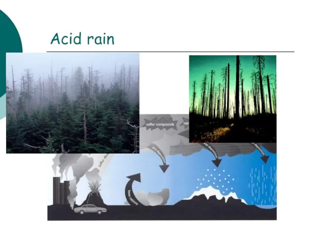 Acid rain