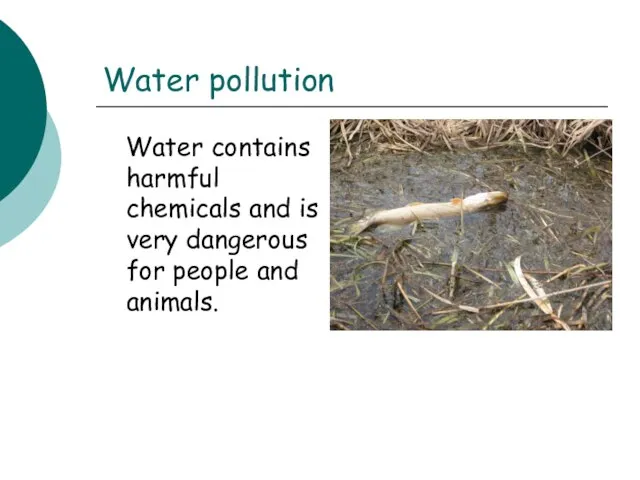 Water pollution Water contains harmful chemicals and is very dangerous for people and animals.