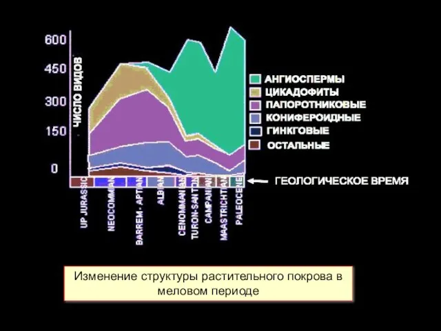 Изменение структуры растительного покрова в меловом периоде