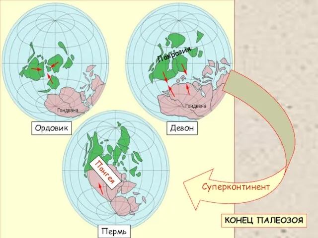 КОНЕЦ ПАЛЕОЗОЯ Суперконтинент Пангея Лавразия Ордовик Девон Пермь