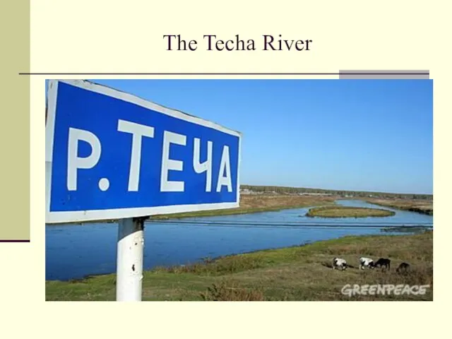 The Techa River