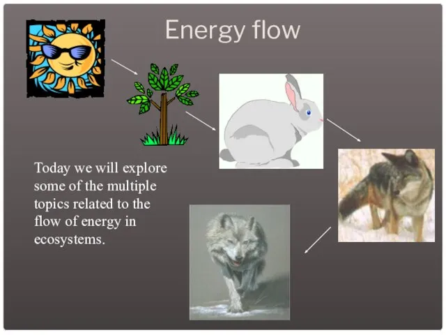 Energy flow Today we will explore some of the multiple topics related