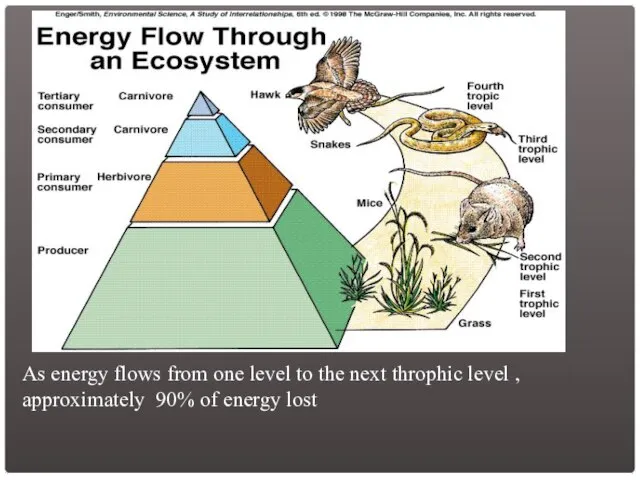 As energy flows from one level to the next throphic level ,