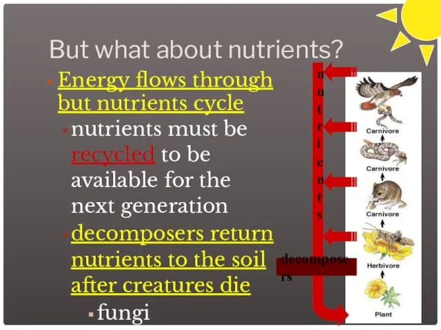 But what about nutrients? Energy flows through but nutrients cycle nutrients must