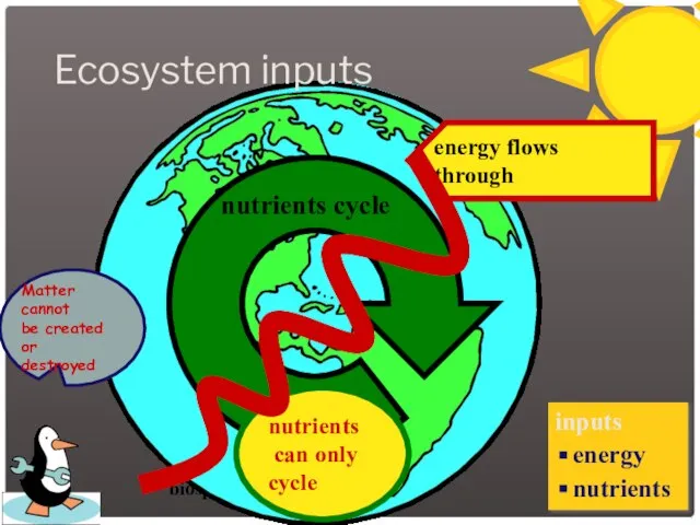 biosphere Ecosystem inputs constant input of energy energy flows through nutrients cycle