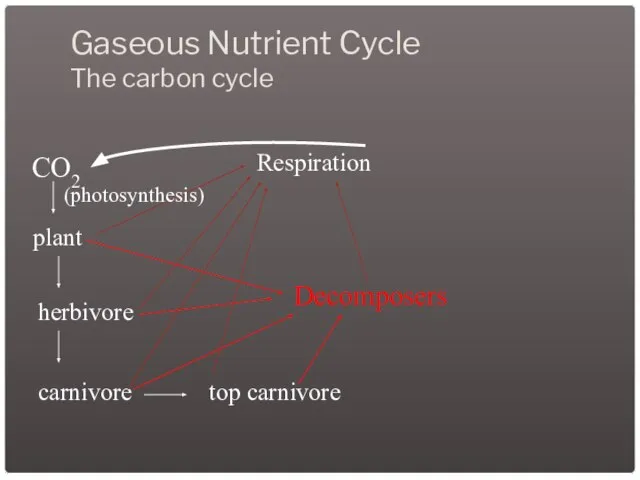 Gaseous Nutrient Cycle The carbon cycle CO2 plant herbivore carnivore top carnivore Respiration Decomposers (photosynthesis)