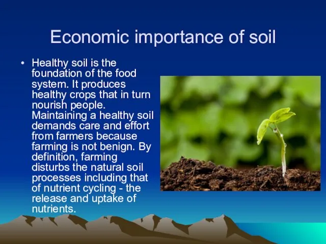 Economic importance of soil Healthy soil is the foundation of the food