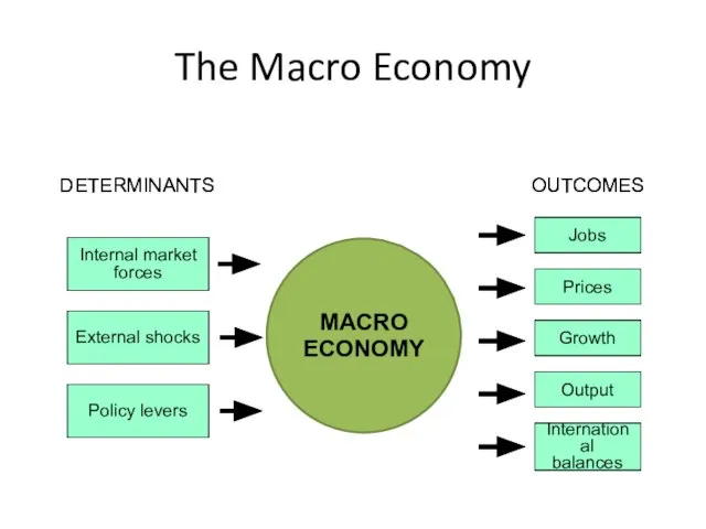 The Macro Economy