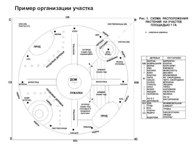 Пример организации участка