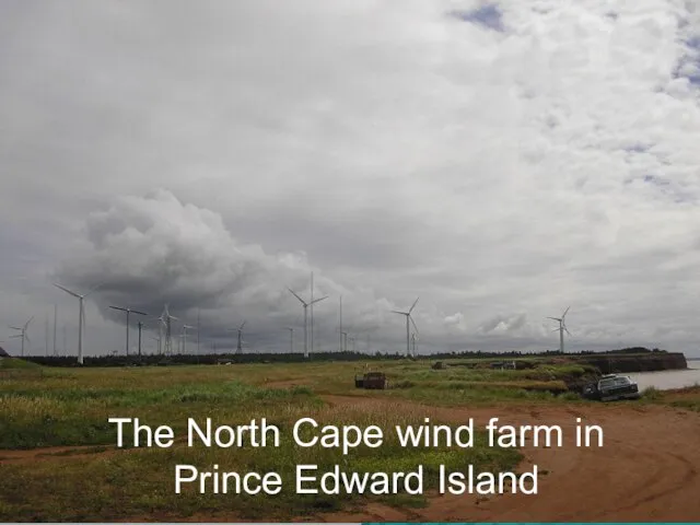 The North Cape wind farm in Prince Edward Island