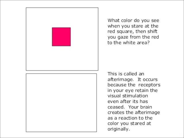 What color do you see when you stare at the red square,
