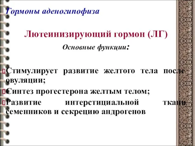 Гормоны аденогипофиза Лютеинизирующий гормон (ЛГ) Основные функции: Стимулирует развитие желтого тела после