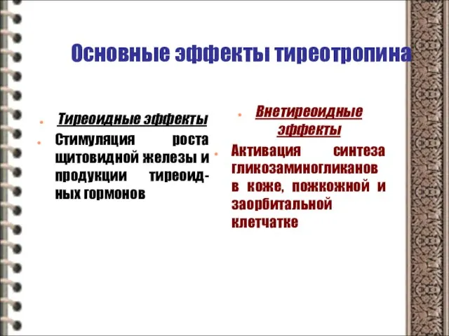 Основные эффекты тиреотропина Тиреоидные эффекты Стимуляция роста щитовидной железы и продукции тиреоид-ных