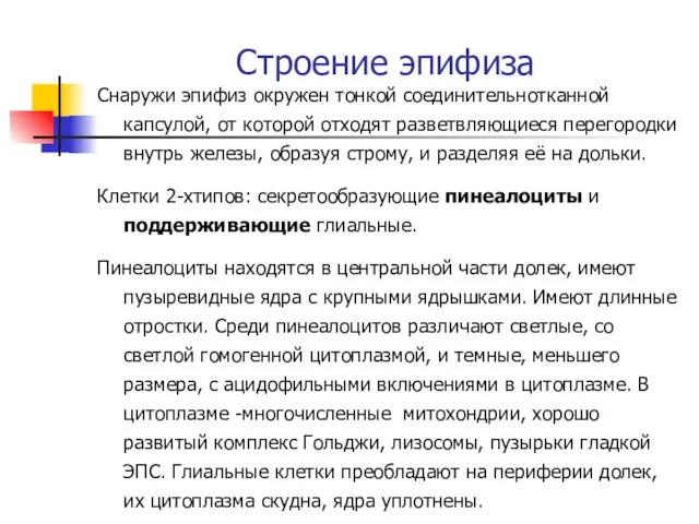 Строение эпифиза Снаружи эпифиз окружен тонкой соединительнотканной капсулой, от которой отходят разветвляющиеся