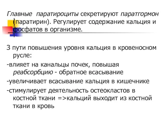 Главные паратироциты секретируют паратгормон (паратирин). Регулирует содержание кальция и фосфатов в организме.