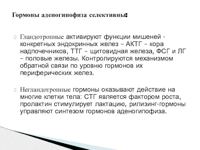 Гландотропные активируют функции мишеней -конкретных эндокринных желез – АКТГ – кора надпочечников,