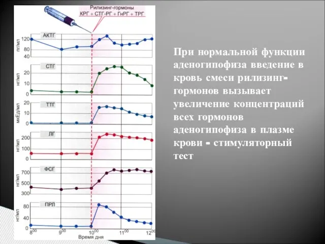 При нормальной функции аденогипофиза введение в кровь смеси рилизинг-гормонов вызывает увеличение концентраций