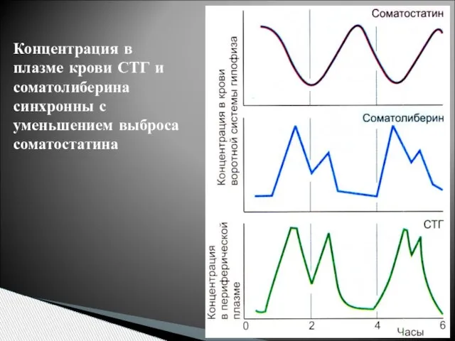 Концентрация в плазме крови СТГ и соматолиберина синхронны с уменьшением выброса соматостатина