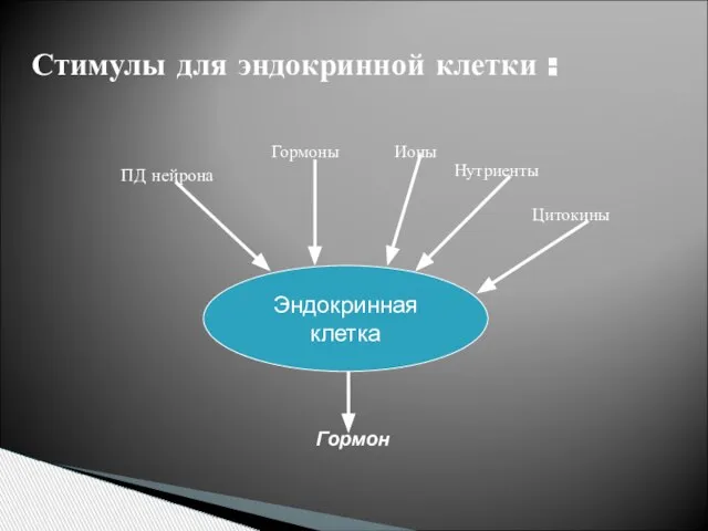 Стимулы для эндокринной клетки : Эндокринная клетка Гормон ПД нейрона Нутриенты Гормоны Ионы Цитокины