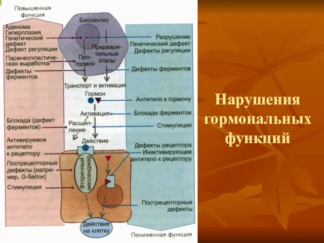 Нарушения гормональных функций