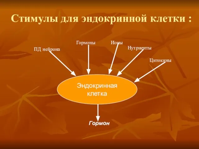 Стимулы для эндокринной клетки : Эндокринная клетка Гормон ПД нейрона Нутриенты Гормоны Ионы Цитокины