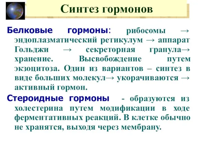 Синтез гормонов Белковые гормоны: рибосомы → эндоплазматический ретикулум → аппарат Гольджи →