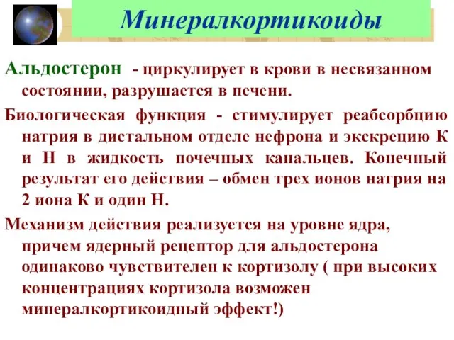 Минералкортикоиды Альдостерон - циркулирует в крови в несвязанном состоянии, разрушается в печени.