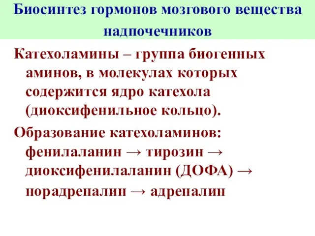 Биосинтез гормонов мозгового вещества надпочечников Катехоламины – группа биогенных аминов, в молекулах