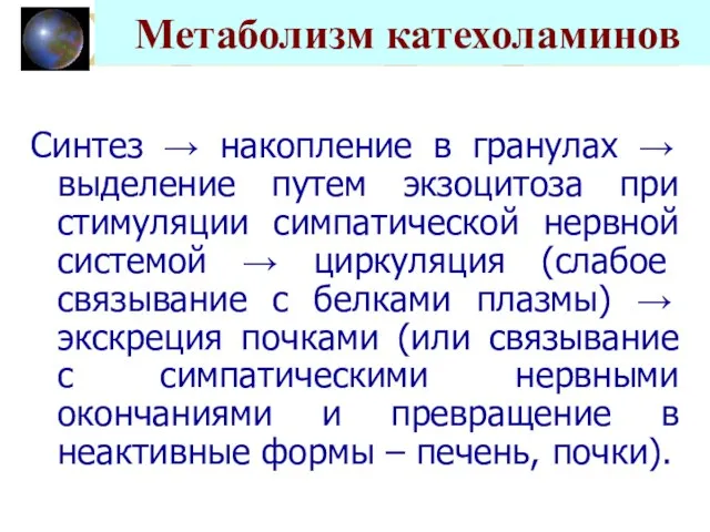 Метаболизм катехоламинов Синтез → накопление в гранулах → выделение путем экзоцитоза при