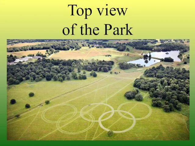 Top view of the Park