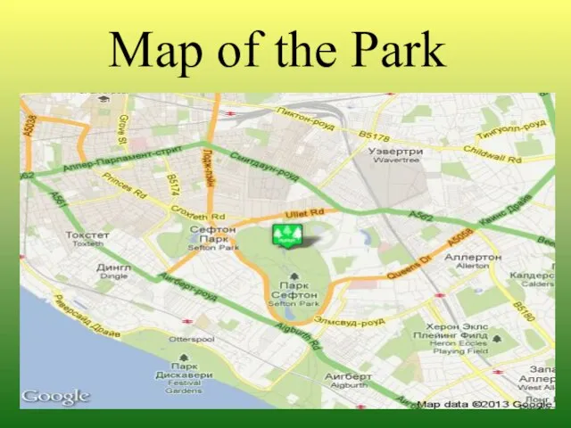 Map of the Park