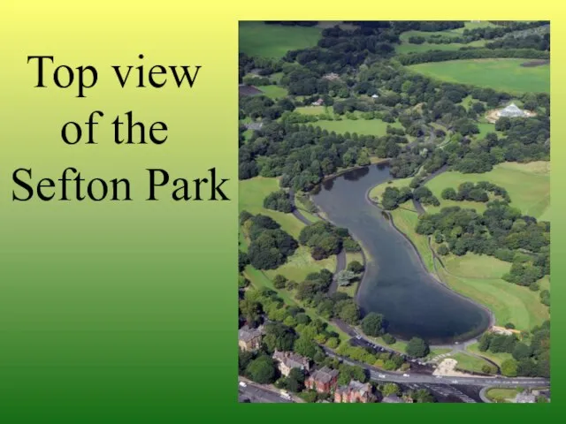 Top view of the Sefton Park