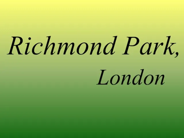 Richmond Park, London