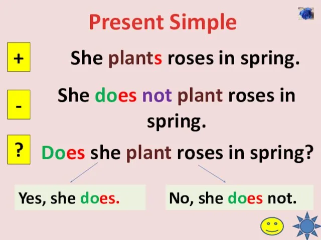 Present Simple She plants roses in spring. + - ? She does