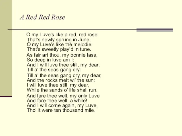 A Red Red Rose O my Luve’s like a red, red rose