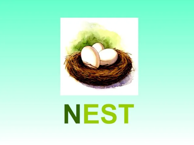 NEST