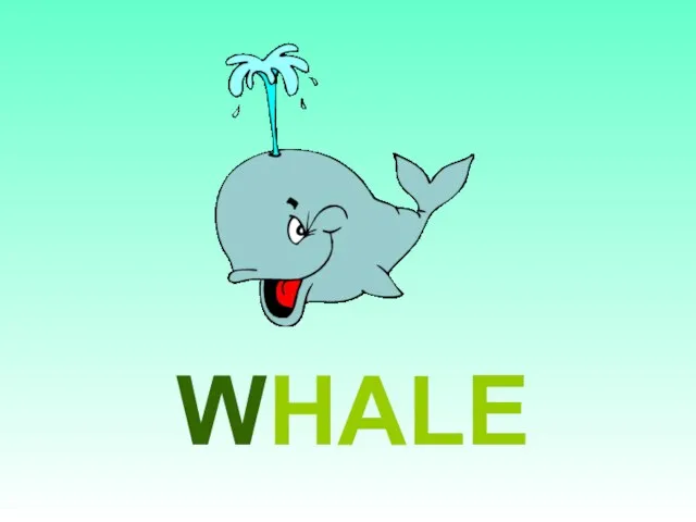 WHALE