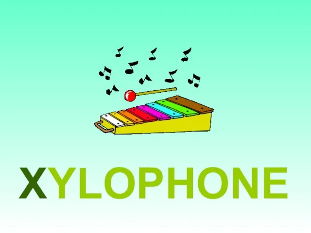 XYLOPHONE