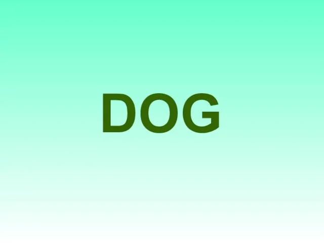 DOG