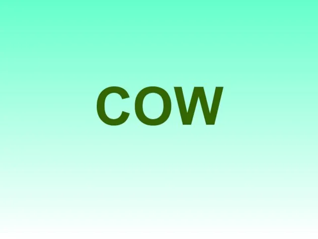 COW