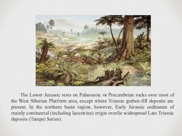 The Lower Jurassic rests on Palaeozoic or Precambrian rocks over most of