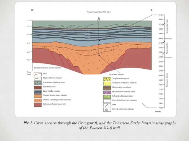 Pic.1. Cross section through the Urengoirift, and the Triassicto Early Jurassic stratigraphy