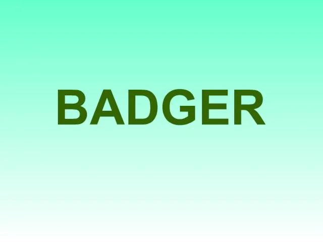 BADGER