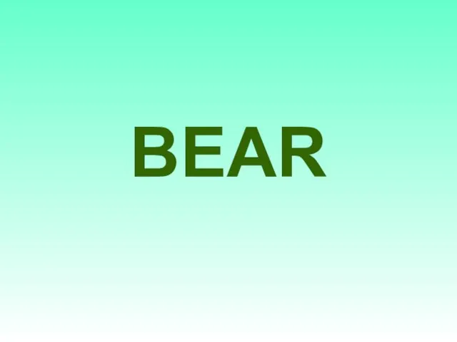 BEAR