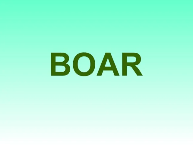 BOAR