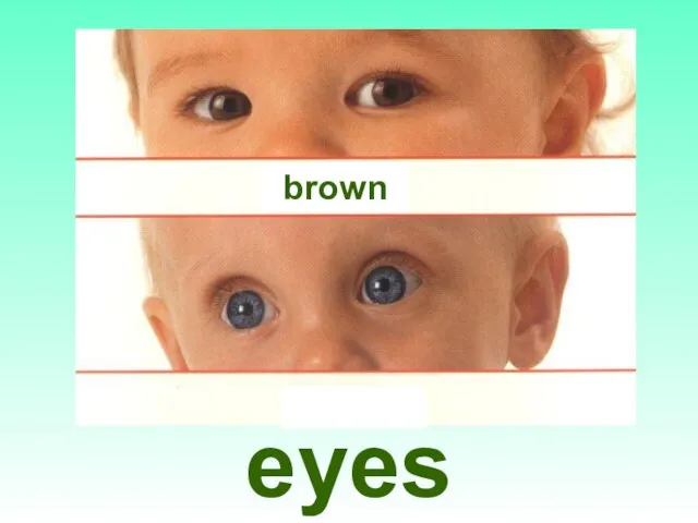 eyes brown