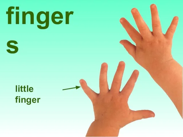 little finger fingers