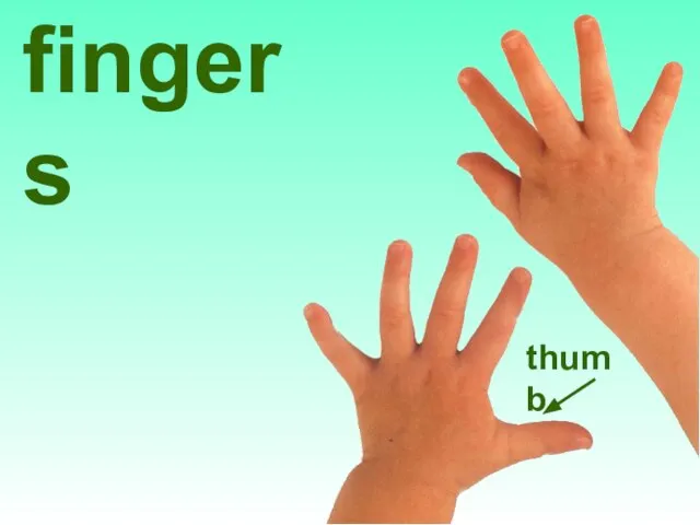 fingers thumb
