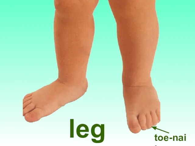 legs toe-nail
