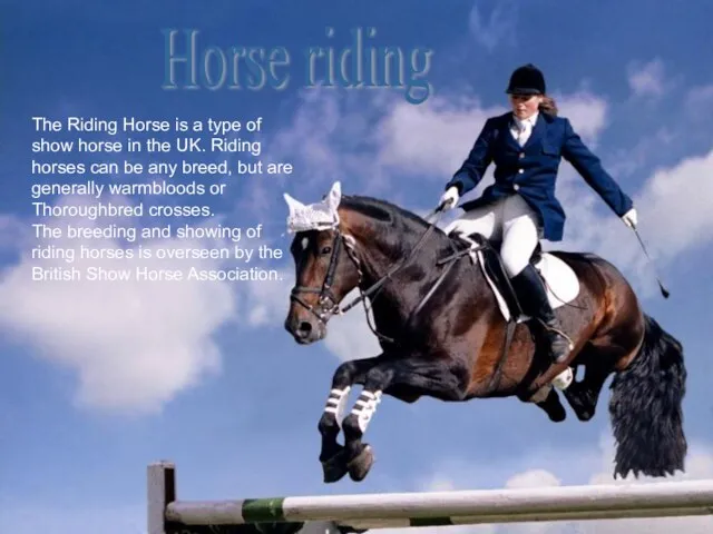 The Riding Horse is a type of show horse in the UK.
